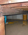 Mold and rot thriving in a dirt floor crawl space in Binghamton