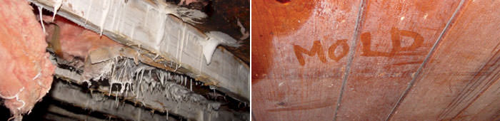 Home Mold in NY, including Ithaca, Binghamton & Endicott.