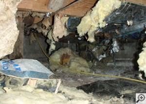 A messy crawl space filled with rotting insulation and debris in Apalachin.