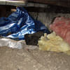 A crawl space filled with loose insulation, debris, and a large tarp in Willet.
