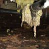 Fiberglass insulation dripping off a pipe in Greene.