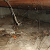 A crawl space with spiderwebs, mold, and uneven floors in Sidney.
