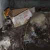 A rotting box sitting on a rock in a crawl space in Dryden.