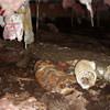 Mold, flooding water, mildew, and rot in a crawl space environment in Groton.