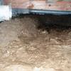A muddy, disgusting crawl space with little or no head room in Unadilla.