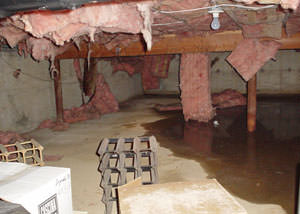 Fiberglass dripping off of the ceilings of a Johnson City crawl space