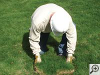 Restoring the landscaping by replacing removed sod on the ground for a Lansing home.