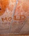 The word mold written with a finger on a moldy wood wall in Conklin