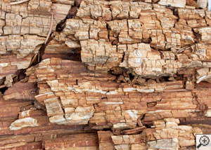 Dry rot damage on wood in Beaver Dams