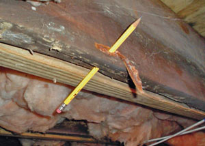 Destroyed crawl space structural wood in Owego