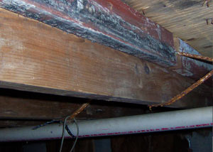 Rotting, decaying wood from mold damage in Bainbridge