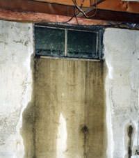 Flooding through basement windows in a Unadilla home.