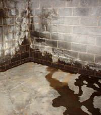 Water seeping through a concrete wall in a Apalachin basement