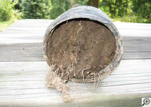 clogged french drain found in Spencer, New York