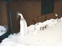 IceGuard® Installed Vestal